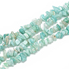 Natural Amazonite Beads Strands G-S314-19-1