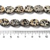 Natural Dalmatian Jasper Beads Strands G-P559-B08-01-5