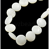 Natural Shell Beads Strands X-PBB-XXBK024Y-13-1