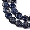 Natural Sodalite Beads Strands G-C159-A09-01-4