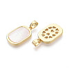 Natural White Shell Pendants KK-T073-64B-2