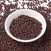 MIYUKI Round Rocailles Beads SEED-G008-RR4520-2