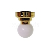 Plastic Ceilling Lamp Miniature Ornaments PW-WGB3B8A-01-1