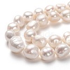 Natural Cultured Freshwater Pearl Beads Strands PEAR-L033-40-2