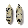 Natural Dalmatian Jasper Healing Stones G-K330-26-2