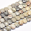 Natural Fossil Coral Beads Strands G-K256-43A-1