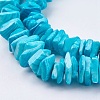 Natural Sea Shell Beads Strands X-BSHE-K012-08C-3