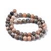 Natural Zebra Jasper Beads Strands G-F676-01-5