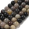 Natural Scorzalite Beads Strands G-B099-C04-06-1