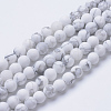 Natural Howlite Beads Strands X-G-T055-6mm-02-1