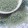 MIYUKI Round Rocailles Beads SEED-X0054-RR2354-4