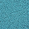 11/0 Grade A Baking Paint Glass Seed Beads X-SEED-N001-A-1016-2