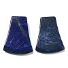 Dyed Natural Lapis Lazuli Pendants G-F758-C03-1