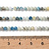 Natural Blue Azurite Beads Strands GG-CBAE031-A03-3mm-5