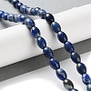 Natural Lapis Lazuli Beads Strands G-I369-B15-01-2