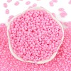 Baking Paint Glass Seed Beads SEED-L011-09A-27-3