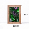 Rectangle Wood Picture Frame with Natural Amethyst Cluster Decor PW-WGB76B9-01-3