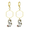 Rack Plating Alloy Cat Dangle Leverback Dangle Earrings EJEW-JE05502-05-1