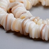 Natural Freshwater Shell Beads Strands SHEL-D078-01B-3