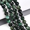 Natural Fuchsite Beads Strands G-S345-8mm-33-2