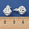 Rack Plating Brass Micro Pave Clear Cubic Zirconia Charms KK-F089-15S-3