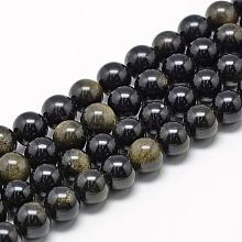 Natural Golden Sheen Obsidian Beads Strands G-R446-8mm-22