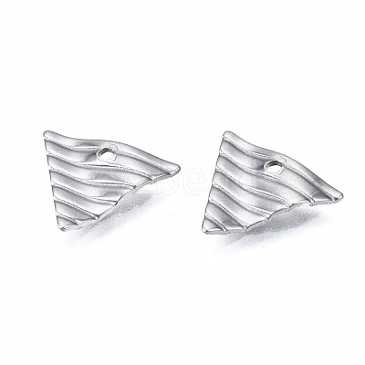Non-Tarnish 304 Stainless Steel Charms STAS-S080-056P-NR-1