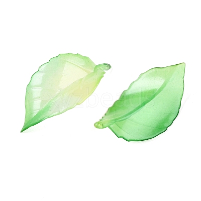 Gradient Color Acrylic Big Pendants OACR-N137-30-1