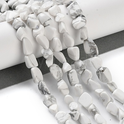 Natural Howlite Beads Strands G-P497-01C-64-1