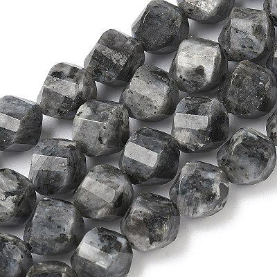 Natural Larvikite Beads Strands G-C267-B24-1