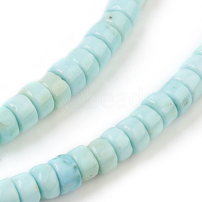 Natural Howlite Beads Strands X-G-P398-F-1