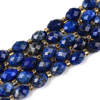 Natural Lapis Lazuli Beads Strands G-N342-53-8x6-10-1