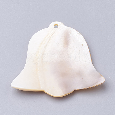 Freshwater Shell Big Pendants SHEL-Q019-004-1
