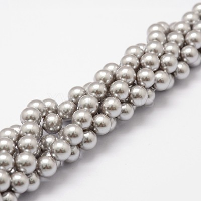 Shell Pearl Beads Strands X-BSHE-L026-05-8mm-1