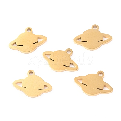 304 Stainless Steel Charms STAS-O142-33G-1