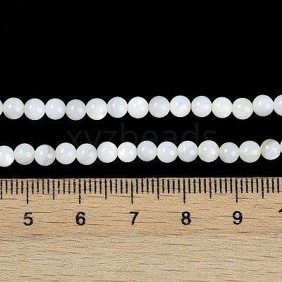 Natural Cultured Freshwater Shell Beads Strands BSHE-H109-03B-1