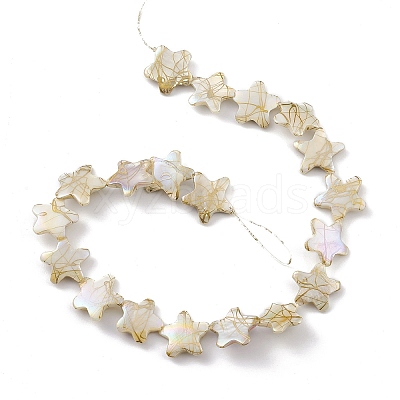 Drawbench Style Natural Freshwater Shell Beads Strands BSHE-E028-04-1