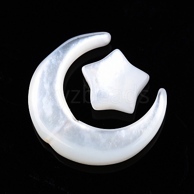 Natural White Shell Beads Sets SSHEL-N032-52B-01-1