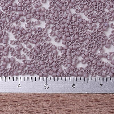 MIYUKI Delica Beads Small X-SEED-J020-DBS0875-1