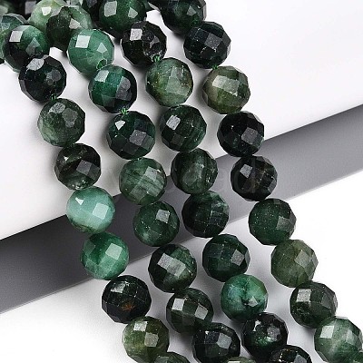Natural Fuchsite Beads Strands G-S345-8mm-33-1
