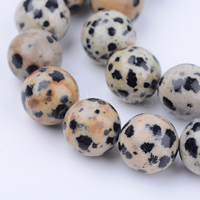 Natural Dalmatian Jasper Beads Strands G-Q462-10mm-30-1