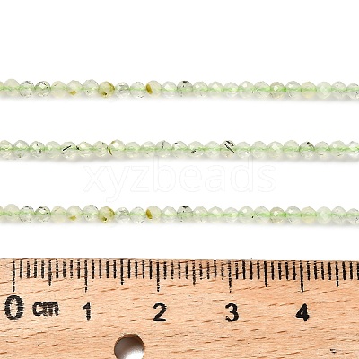 Natural Prehnite Beads Strands G-RM2025-34-2.5mm-1