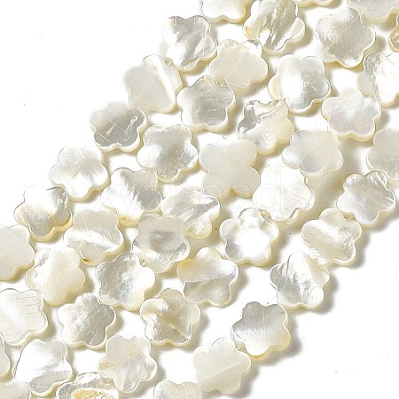 Natural White Shell Beads Strands SHEL-F003-07-1