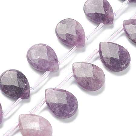 Natural Lepidolite/Purple Mica Stone Beads Strands G-B016-06-1