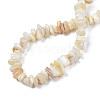 Natural Freshwater Shell Beads Strands SHEL-S278-070G-4