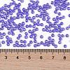 TOHO Round Seed Beads SEED-JPTR08-0934-4