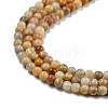 Natural Crazy Lace Agate Bead Strands G-A130-2mm-K10-2