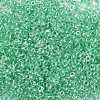 12/0 Glass Seed Beads X-SEED-A015-2mm-2218-2