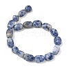 Natural Blue Spot Jasper Beads Strands G-C286-A01-4