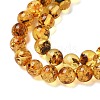 Natural Amber Beads Strands G-K387-D02-01-3